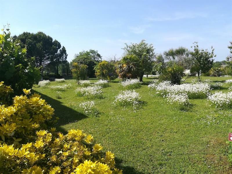 Le Pigeonnier Du Perron Hotel Availles-en-Chatellerault ภายนอก รูปภาพ